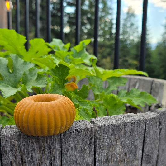 orange colored donut shaped soap sitting on the edge of a planter in front of a pumpkin plant