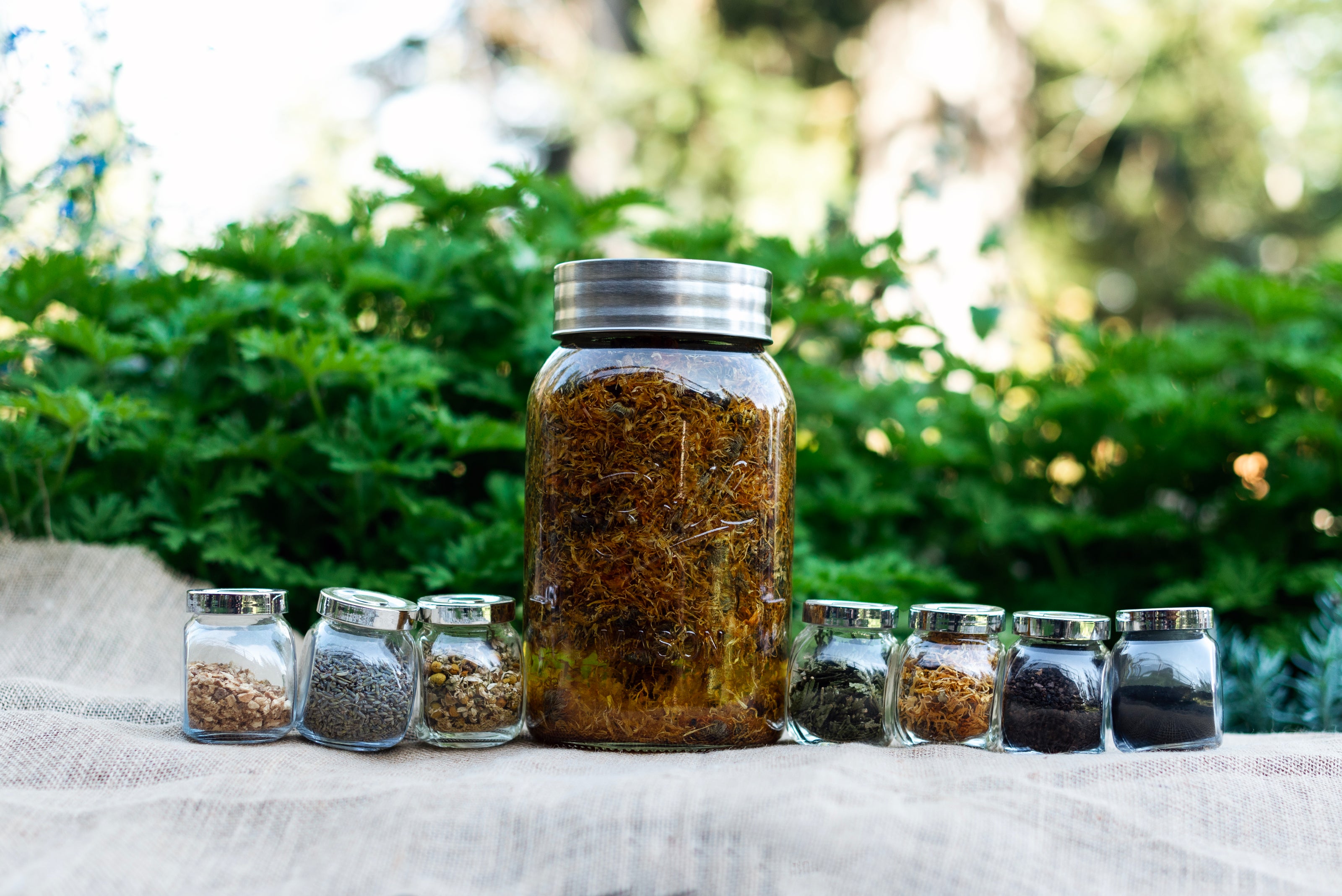 picture of a gallon jar of calendula and grapeseed oil tincture at the center with ingredient jars on either side, on a burlap pad. smaller jars include lemon peel, lavender flowers, chamomile flowers, activated charcoal, calendula flower, cedar tips, and ground walnut shells  